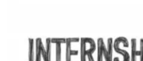 Internship Image
